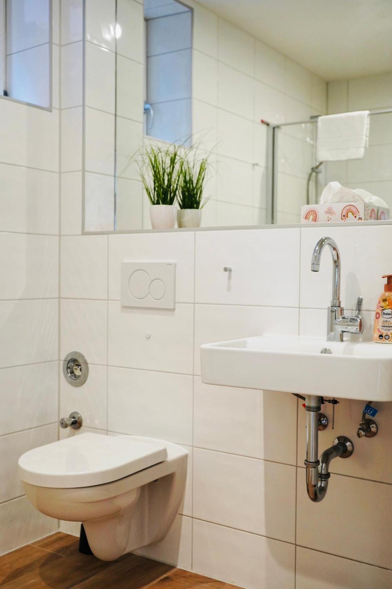 Altstadt Apartment II - Terrasse- Waschmaschine- Parkplatz Волфсбург Екстериор снимка